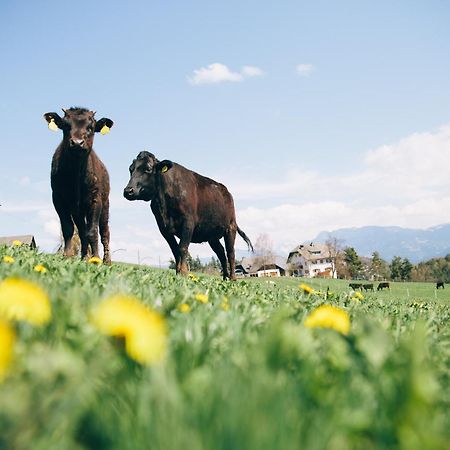 Alpin Farm Linde - Oberweidacherhof Collalbo Eksteriør bilde