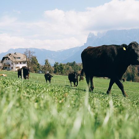 Alpin Farm Linde - Oberweidacherhof Collalbo Eksteriør bilde