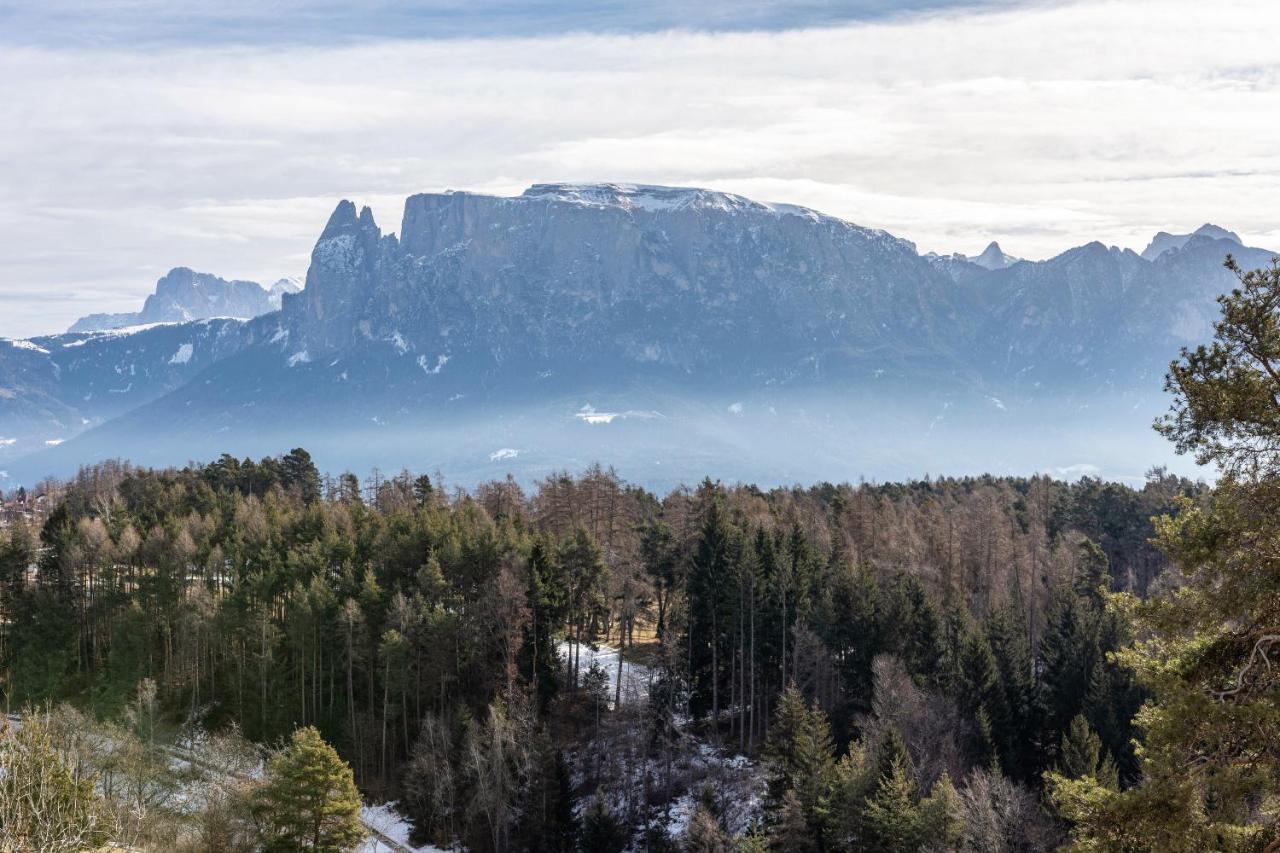 Alpin Farm Linde - Oberweidacherhof Collalbo Eksteriør bilde