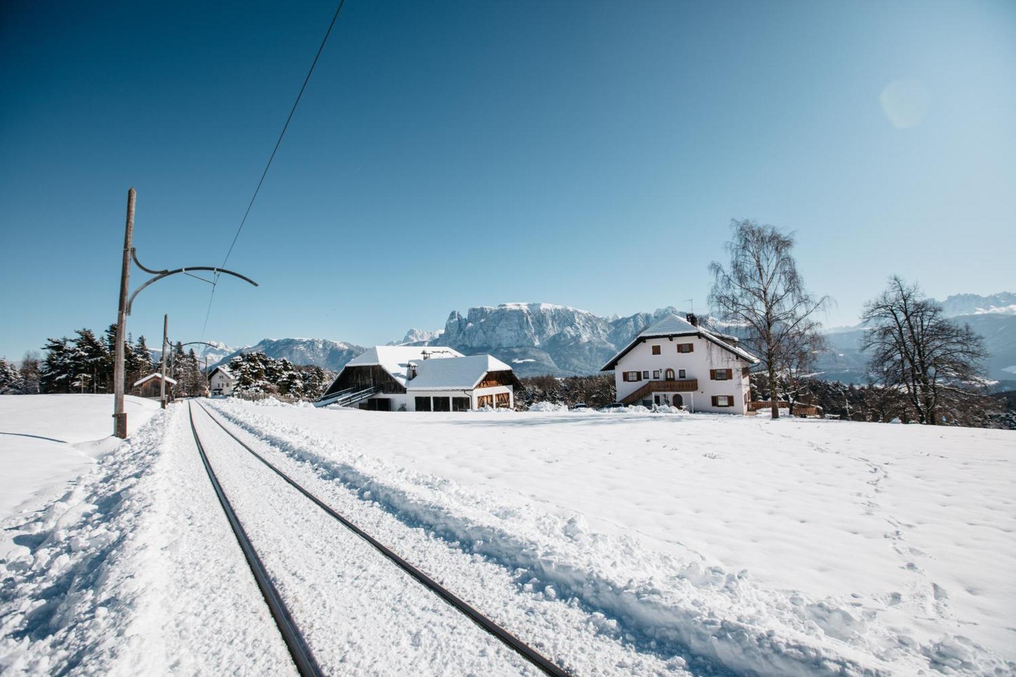 Alpin Farm Linde - Oberweidacherhof Collalbo Eksteriør bilde